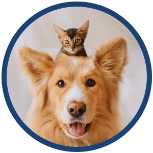 Pet Health Library Banner