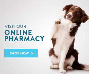 Online Pharmacy Banner